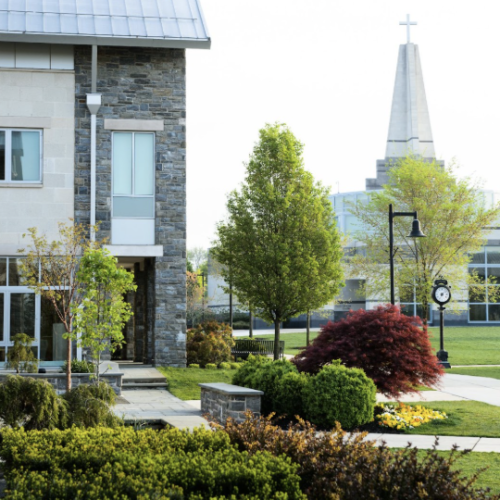 exc-69ca806064d8c01c289ec7e1